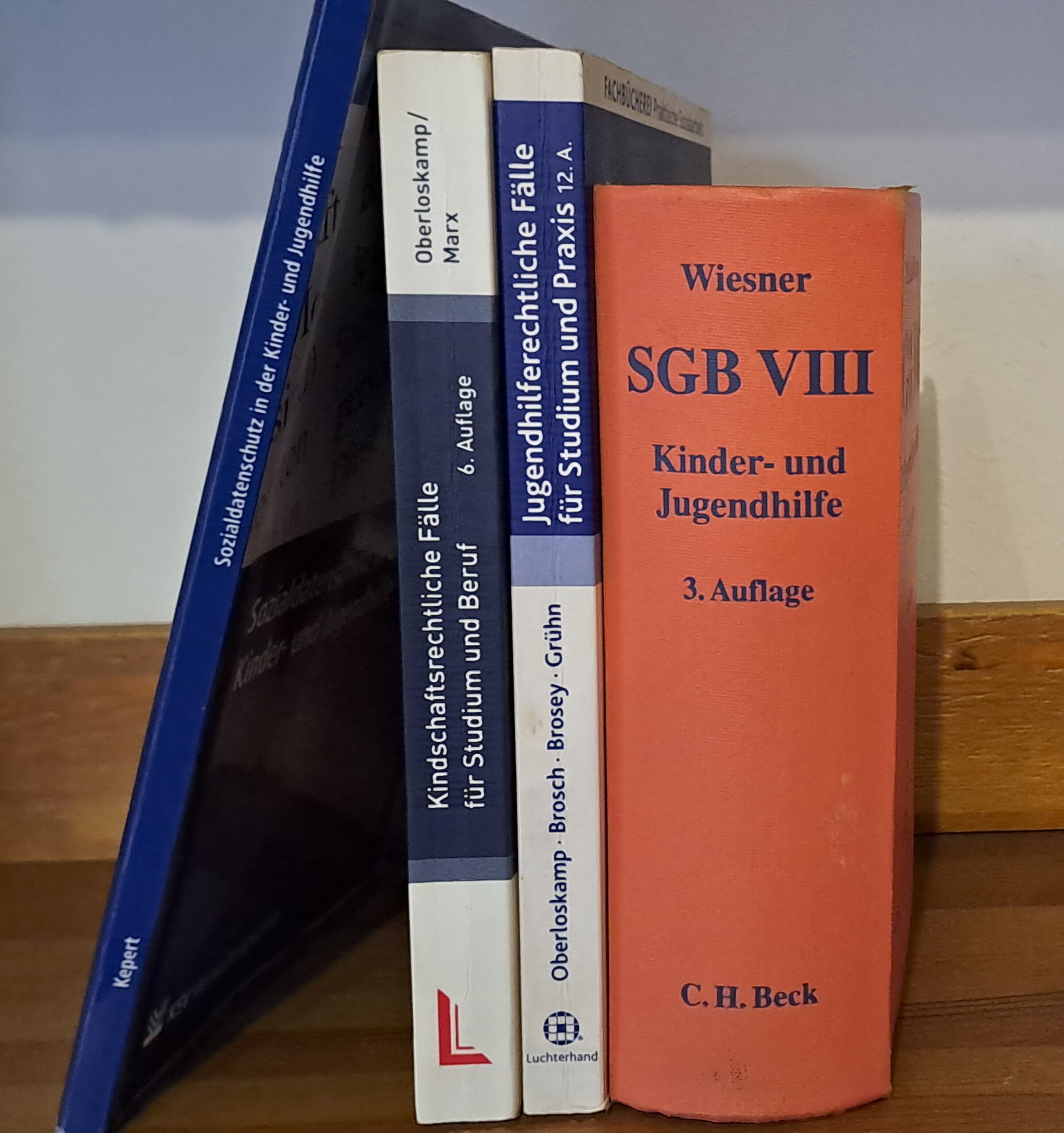 Modulbeschreibung 3.5: SGB VIII (intensiv)